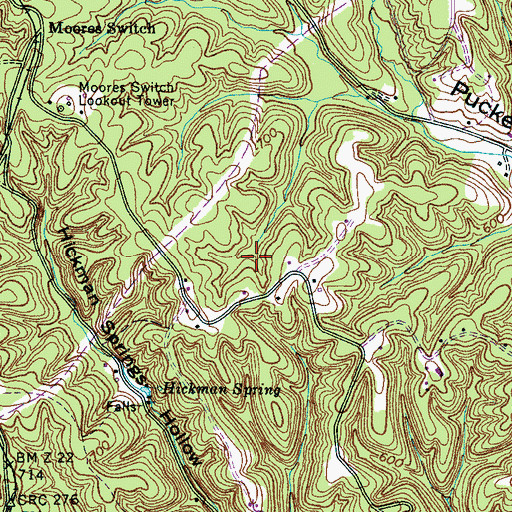 Topographic Map of Hickman County, TN