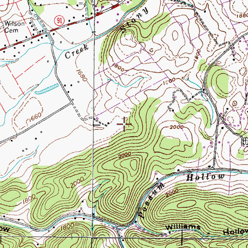 Topographic Map of Boyd Spring Pond (historical), TN