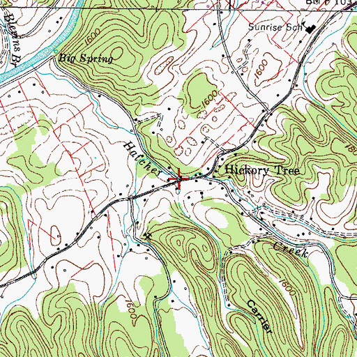 Topographic Map of Carrier Branch, TN