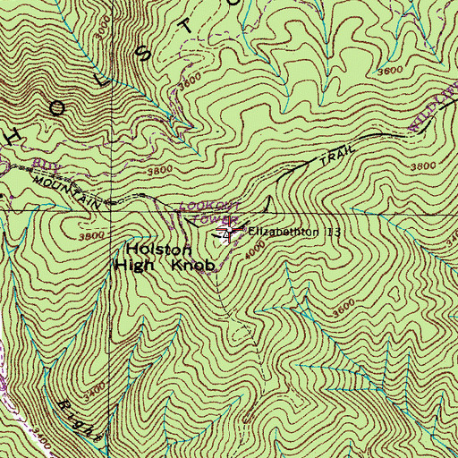 Topographic Map of Holston Mountain, TN