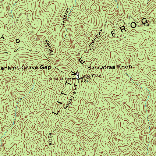Topographic Map of Little Frog Lookout, TN