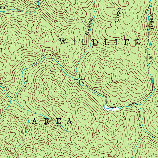 Topographic Map of Bunton Branch, TN