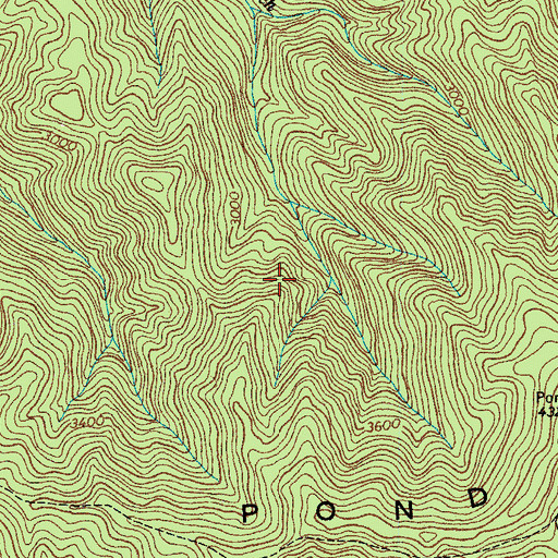 Topographic Map of Pond Mountain Wilderness, TN