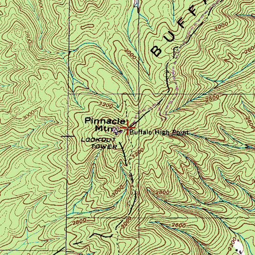 Topographic Map of Buffalo High Point, TN