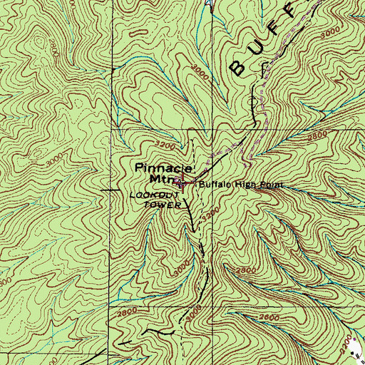 Topographic Map of Pinnacle Mountain Lookout, TN