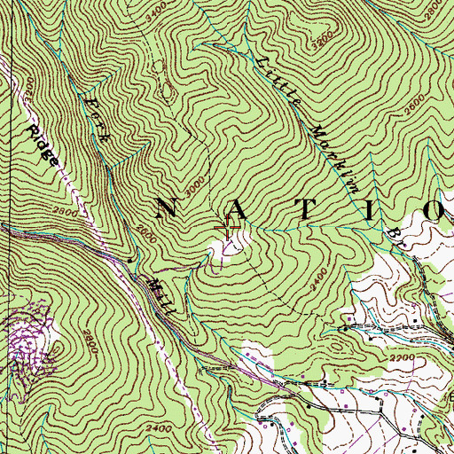 Topographic Map of Lipps Ridge, TN