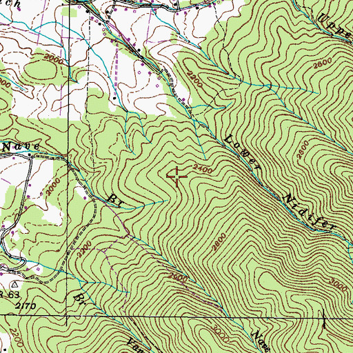 Topographic Map of Nidifer Prospect, TN