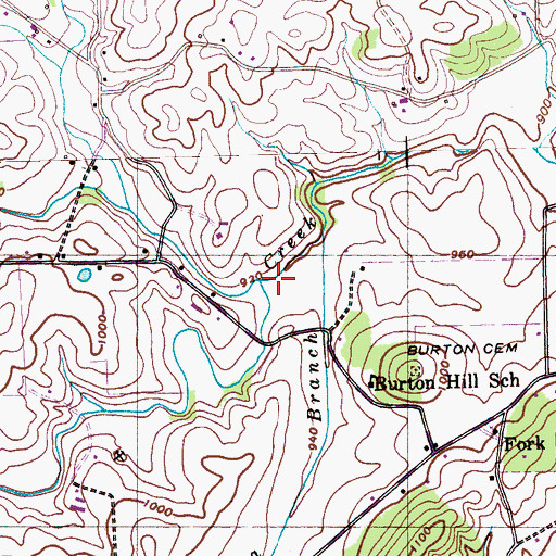 Topographic Map of Blevins Spring, TN