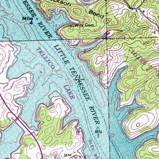 Topographic Map of Lower Coytee Shoals, TN