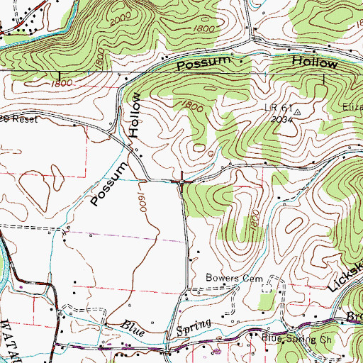 Topographic Map of Bowers Hollow, TN
