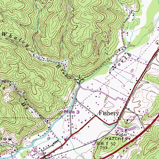 Topographic Map of Pippin Hollow, TN