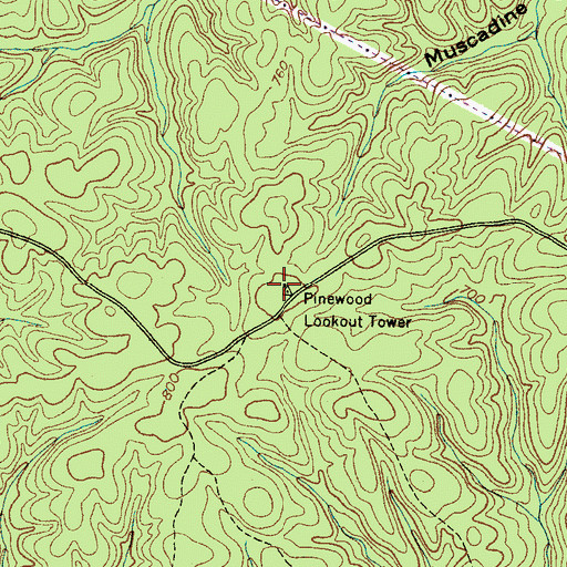 Topographic Map of Pinewood Lookout Tower, TN