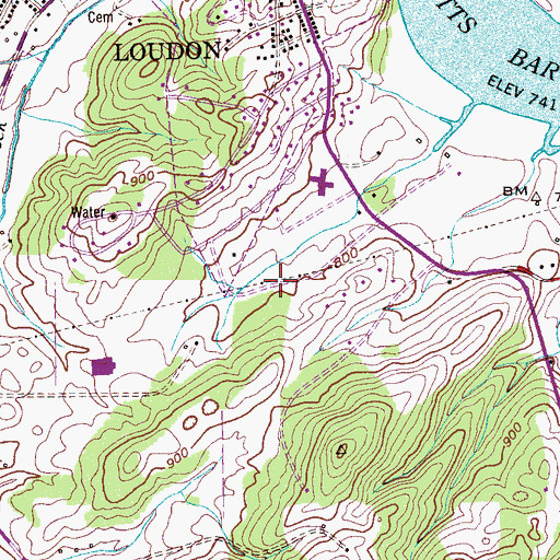 Topographic Map of Loudon Division (historical), TN