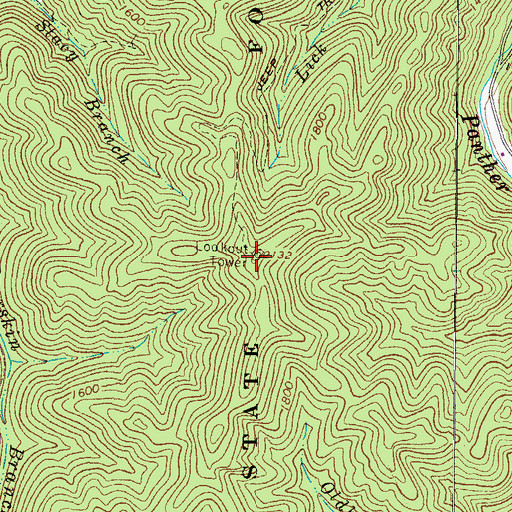 Topographic Map of Panther Lookout Tower, WV