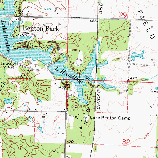 Topographic Map of Lake Hamilton Dam, IL