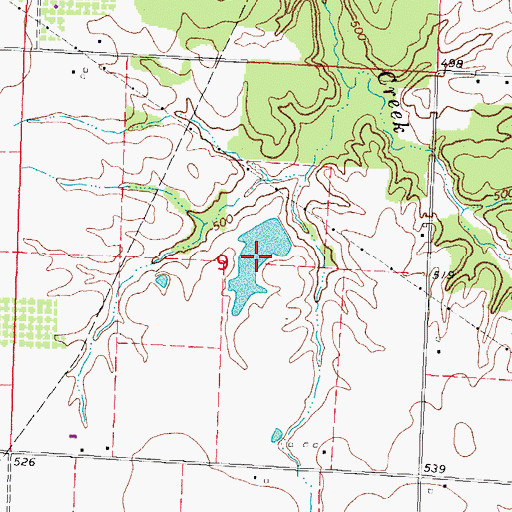 Topographic Map of Foertch Pond, IL