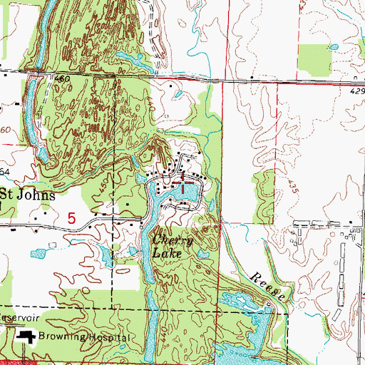 Topographic Map of New Cherry Lake Dam, IL
