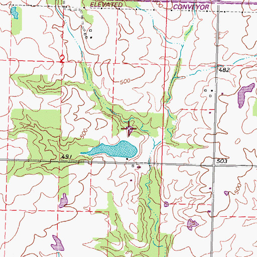 Topographic Map of Shaufler Pond, IL