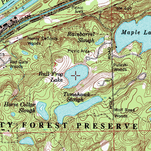 Topographic Map of Bull Frog Lake Dam, IL
