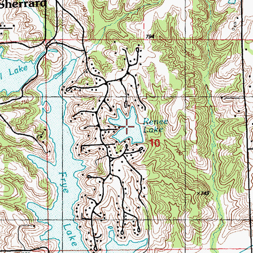 Topographic Map of Renee Lake, IL