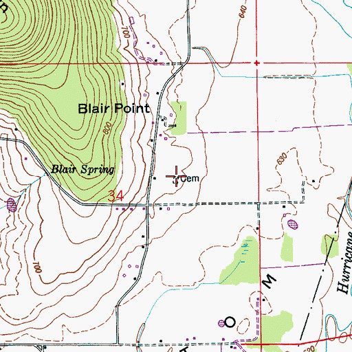 Topographic Map of Blair Cemetery, AL