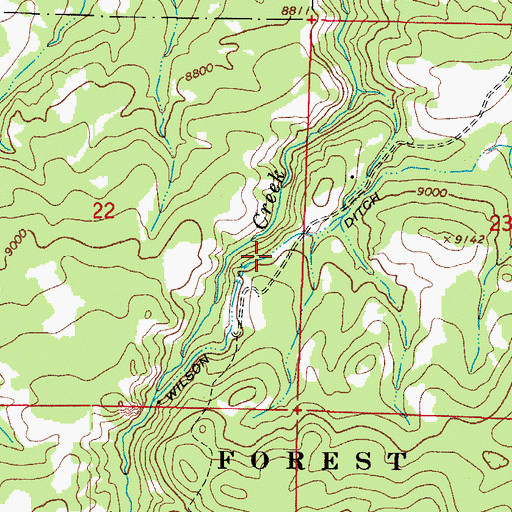 Topographic Map of Wilson Ditch, CO