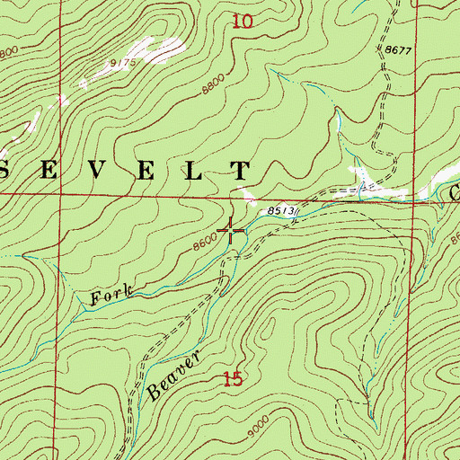 Topographic Map of West Fork Beaver Creek, CO