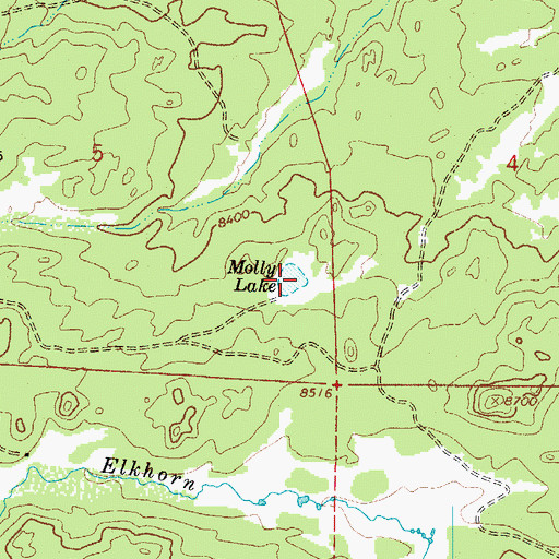 Topographic Map of Molly Lake, CO