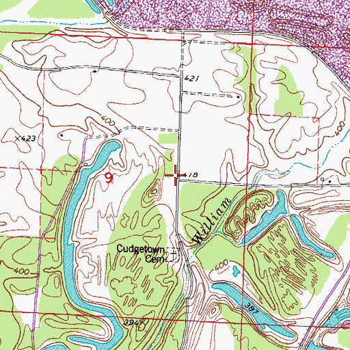 Topographic Map of Cudgetown School (historical), IL