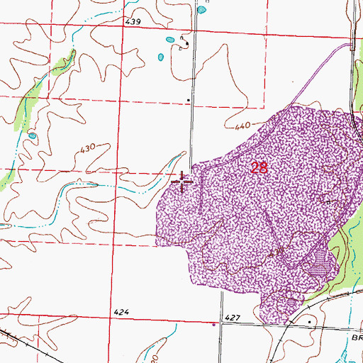 Topographic Map of Lower Holts School (historical), IL