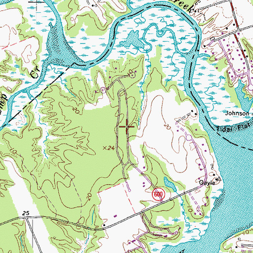 Topographic Map of Horseshoe Point, VA