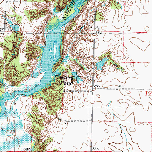 Topographic Map of Carter Pond, IL