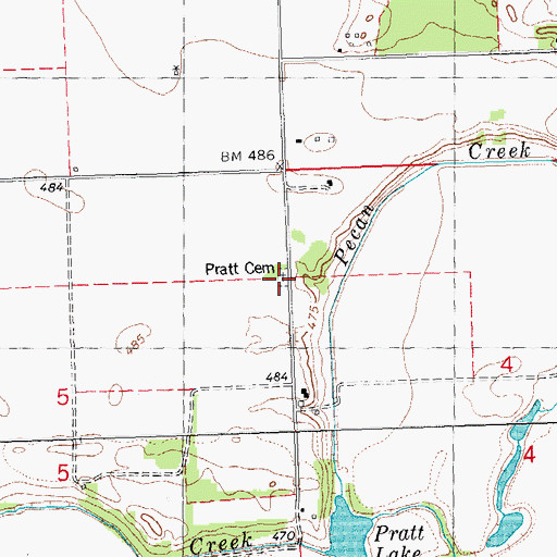 Topographic Map of Pratt Cemetery, IL