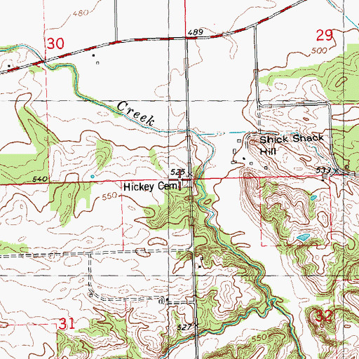 Topographic Map of Hickey Cemetery, IL