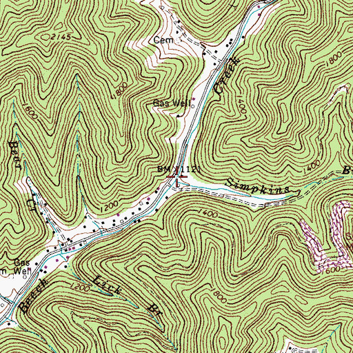 Topographic Map of Simpkins Branch, WV