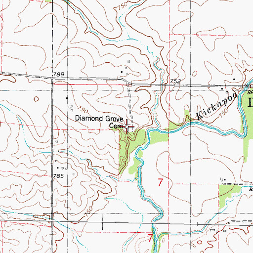 Topographic Map of Diamond Grove Cemetery, IL