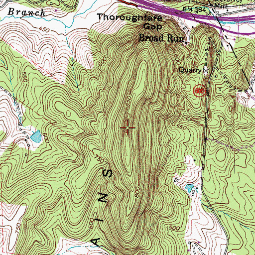 Topographic Map of Bisquit Mountain, VA