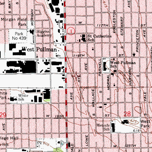 Topographic Map of Divine Love Missionary Baptist Church, IL