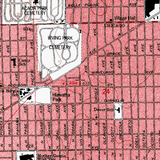 Topographic Map of Western Dunning, IL