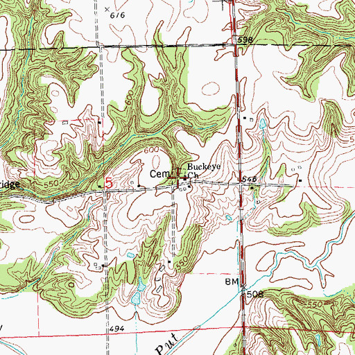 Topographic Map of Buckeye Cemetery, IL