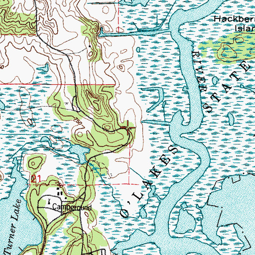 Topographic Map of Hickory Grove Picnic Area, IL
