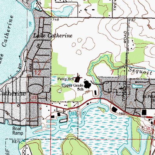 Topographic Map of W C Petty Elementary School, IL