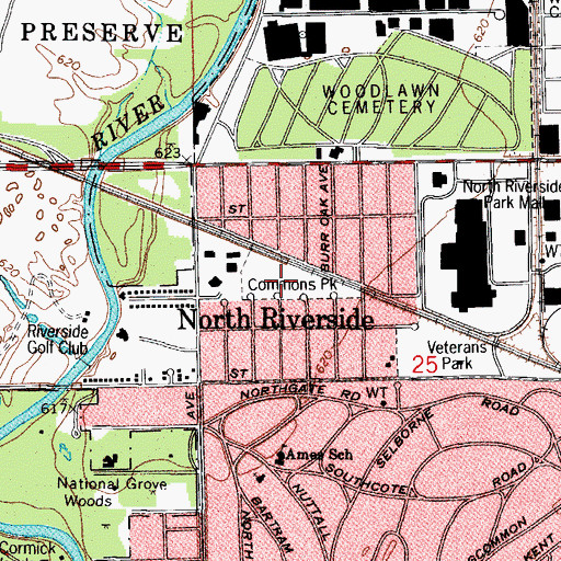 Topographic Map of Commons Park, IL