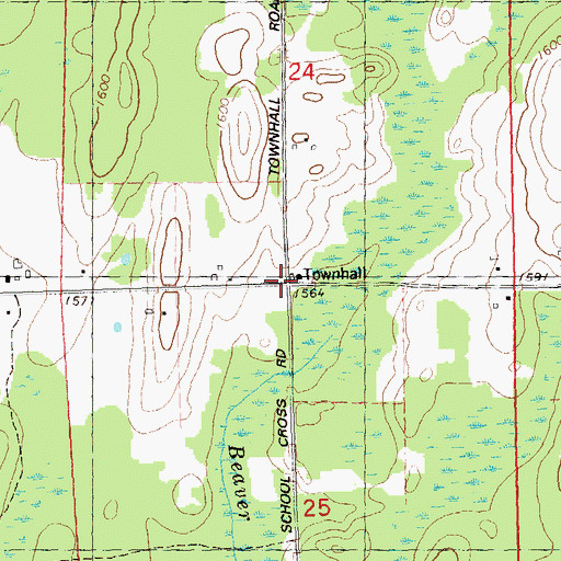 Topographic Map of Chippewa Townhall, WI
