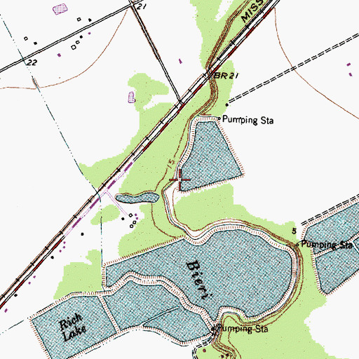 Topographic Map of Brown Dam, TX