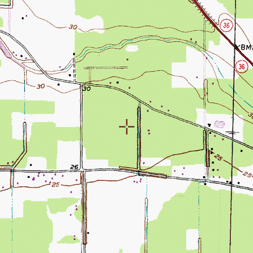 Topographic Map of Wild Peach Village, TX