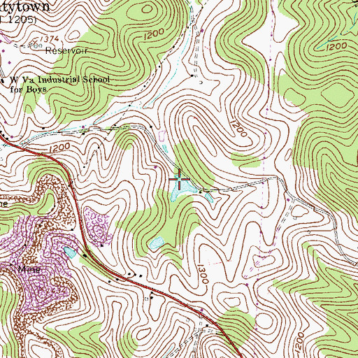 Topographic Map of Tygart District, WV