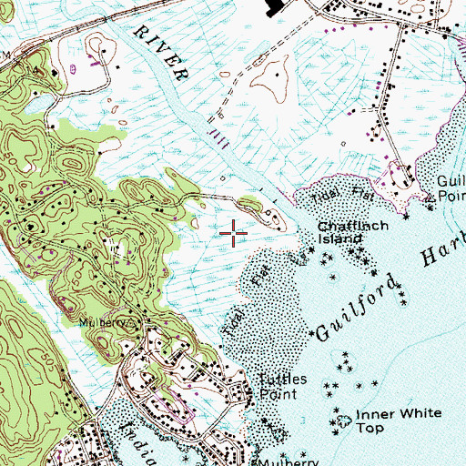 Topographic Map of Chaffinch Island State Park, CT