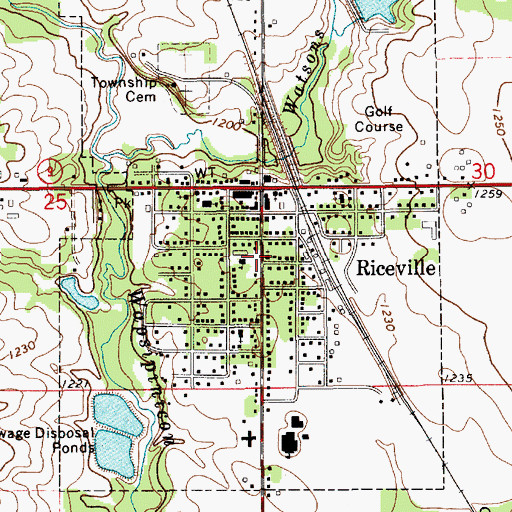 Topographic Map of Riceville Library, IA
