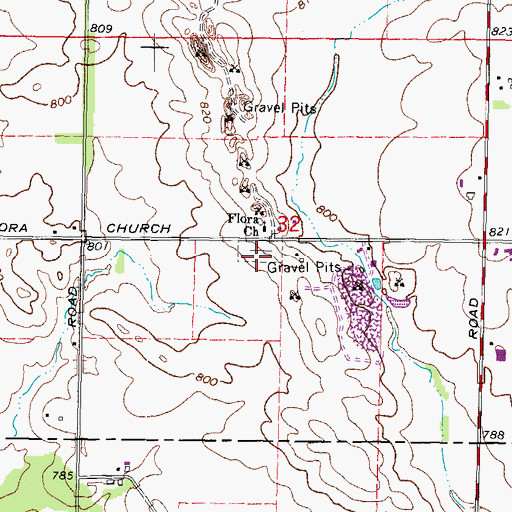 Topographic Map of Flora Cemetery, IL